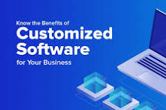 customized software