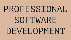 professional software development