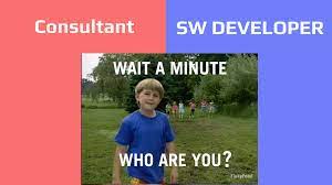 software engineer consultant