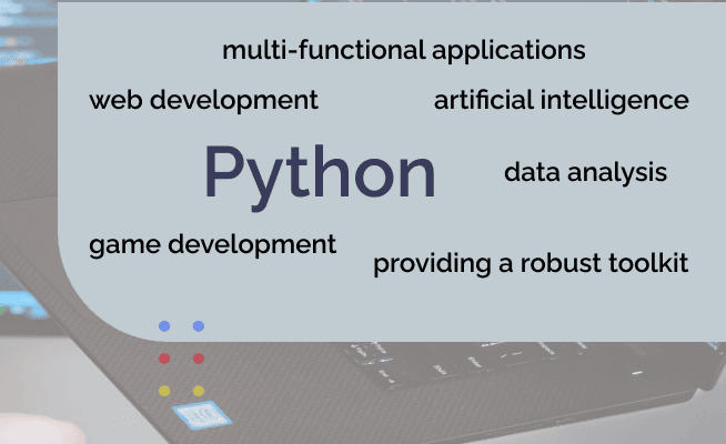 python software development