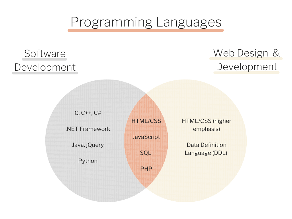 software and web development