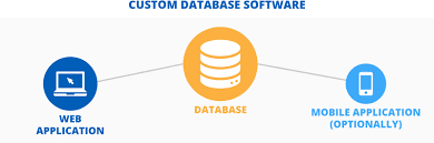 computer software and database development