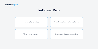 in house software development